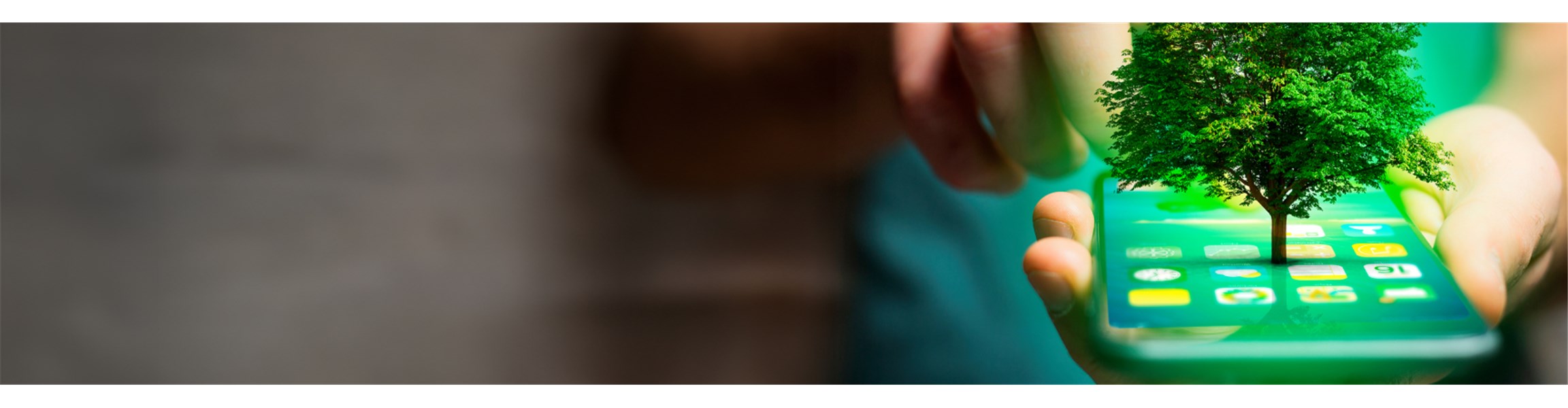 С грижа за природата и с поглед към бъдещето - 4608x1200px.