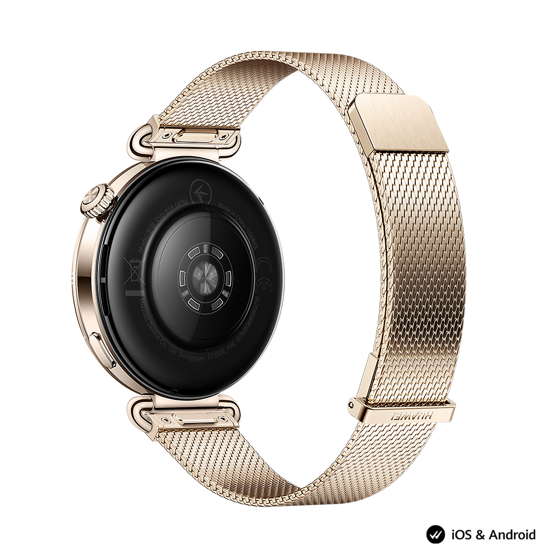 Huawei HUAWEI GT6 41 GOLD + SE3 GOLD Back