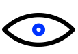 icon eye